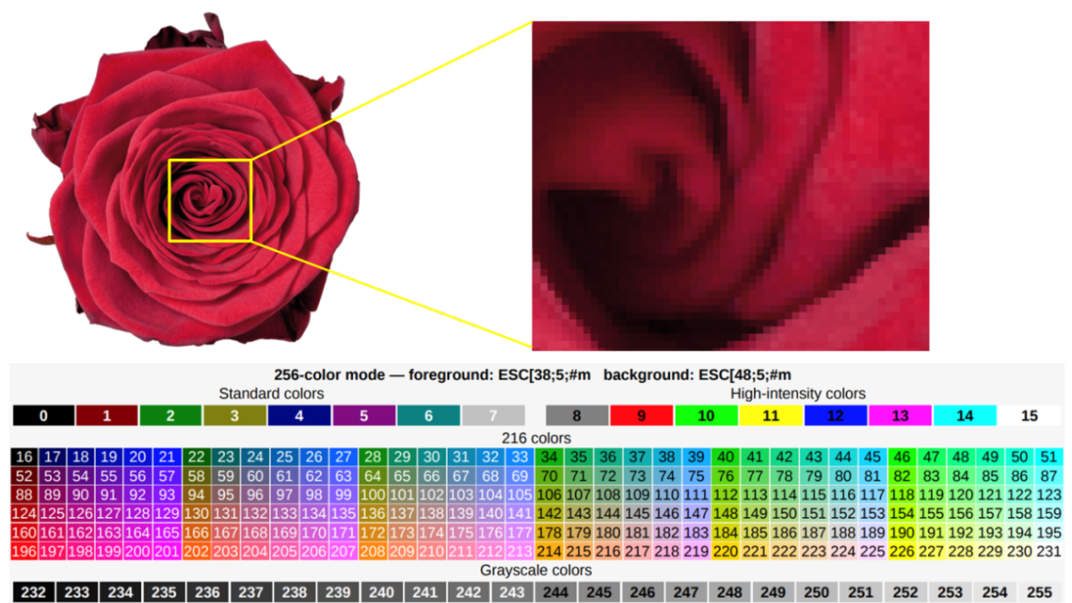 Ilustrasi Kumpulan Pixel dalam Sebuah Gambar yang diperbesar